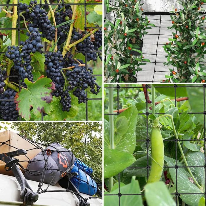 Elastic Trellis Netting with 4 Hooks Multi Size