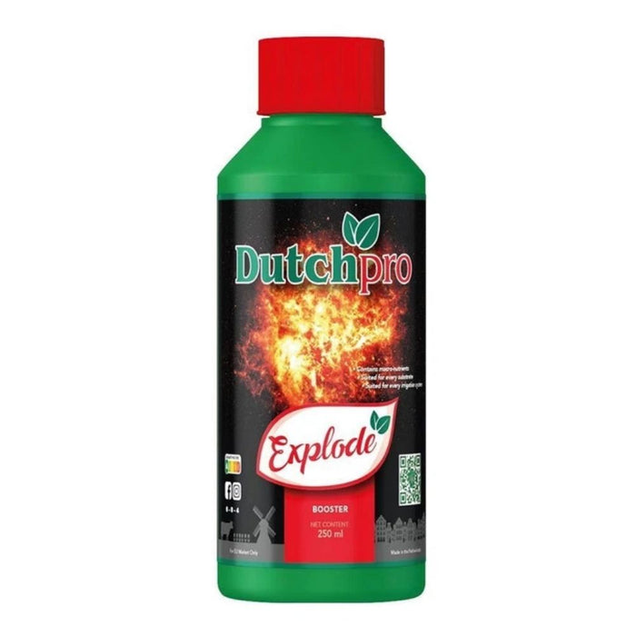 Dutchpro Explode
