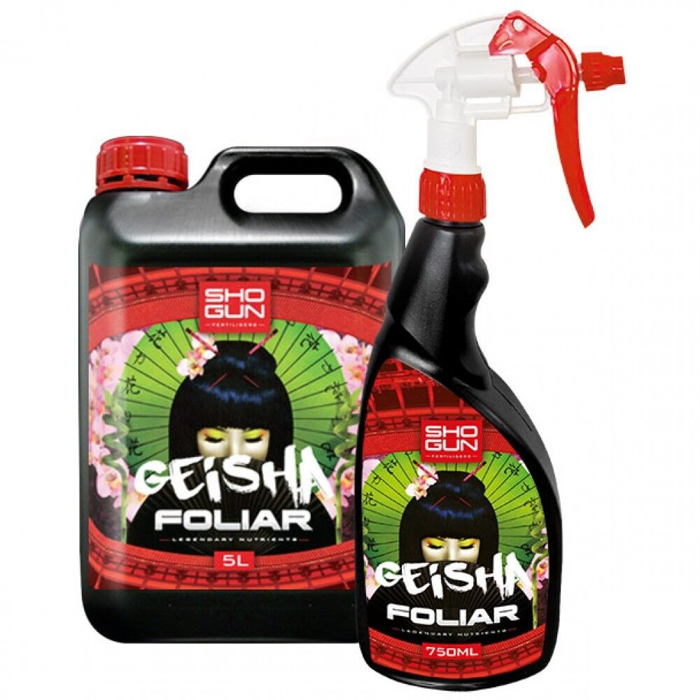 SHOGUN - Geisha Foliar 