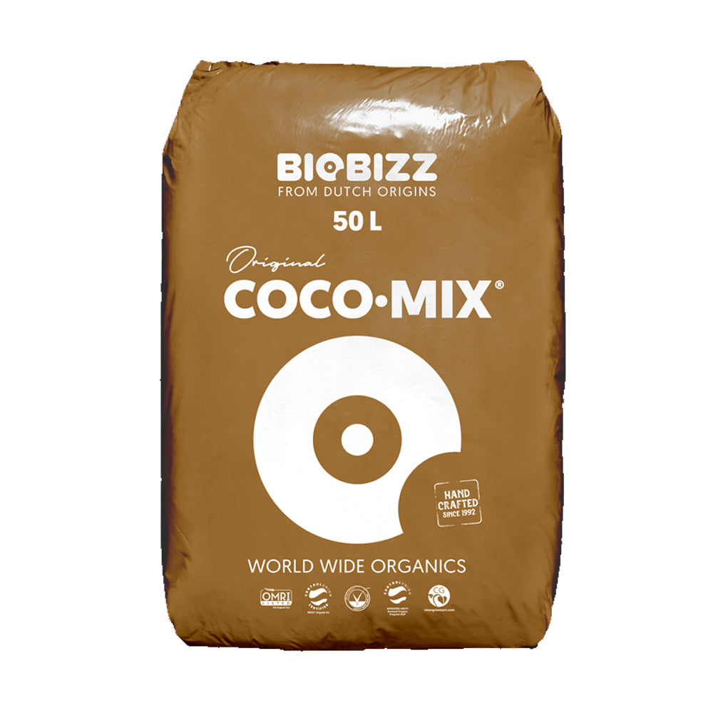 coco Magou Ahşap Kapaklı 2'li Lunch Box - Mint Yeşili - 2x500 ml